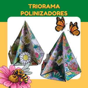 TRIORAMA POLINIZADORES